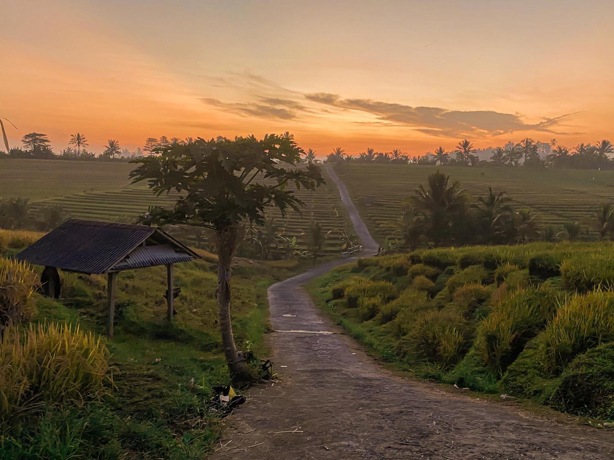 Апартаменты Bali Palms Табанан Экстерьер фото